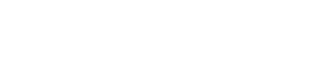 Camisetas Boludas